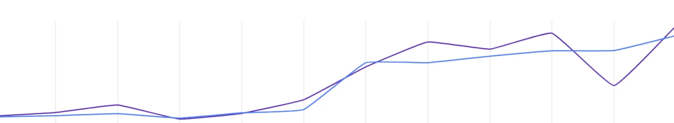 Market's magnet booste votre positionnement sur le marché